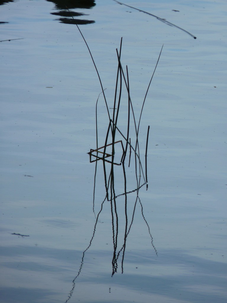Foto: Laguna La Brava - Mar del Plata (Buenos Aires), Argentina