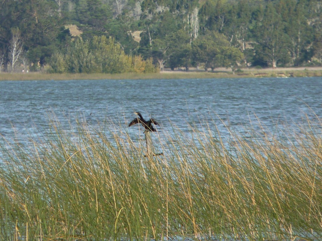 Foto: Laguna La Brava - Mar del Plata (Buenos Aires), Argentina