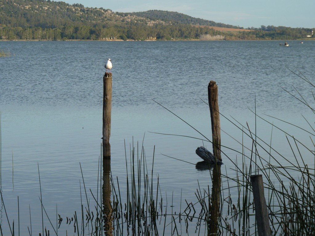 Foto: Laguna La Brava - Mar del Plata (Buenos Aires), Argentina