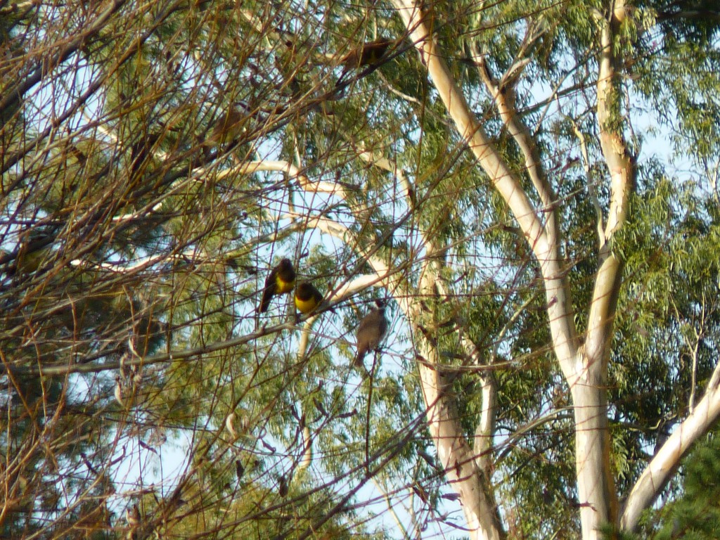 Foto: Laguna La Brava - Mar del Plata (Buenos Aires), Argentina