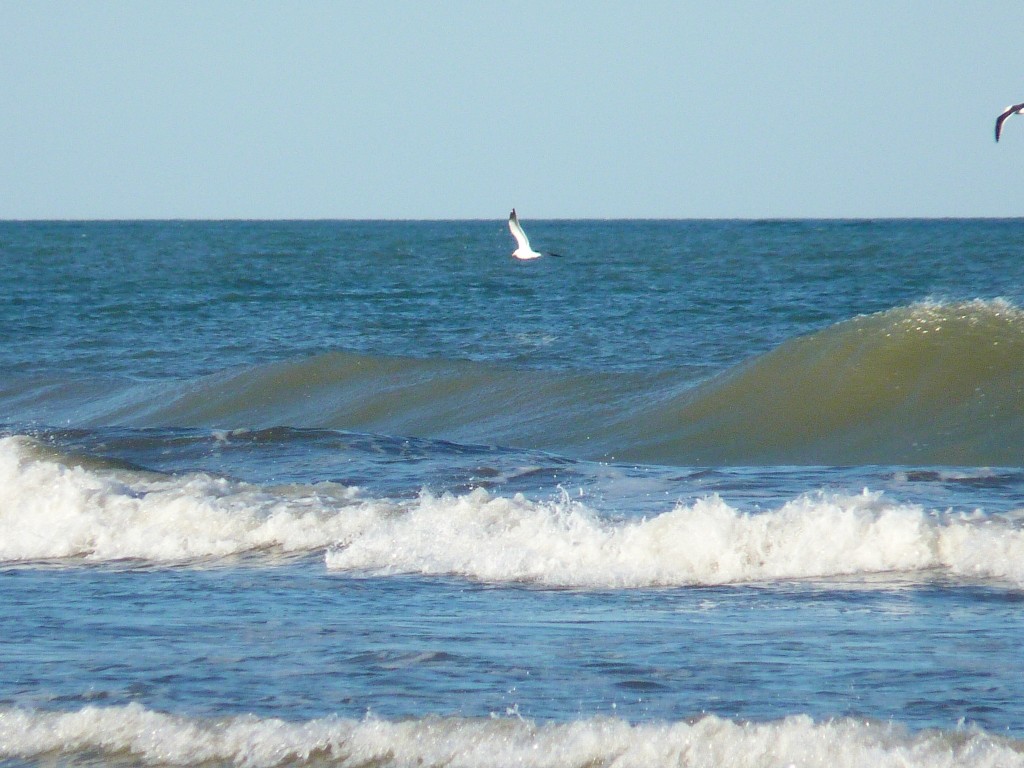 Foto: Balneario - Santa Clara del Mar (Buenos Aires), Argentina