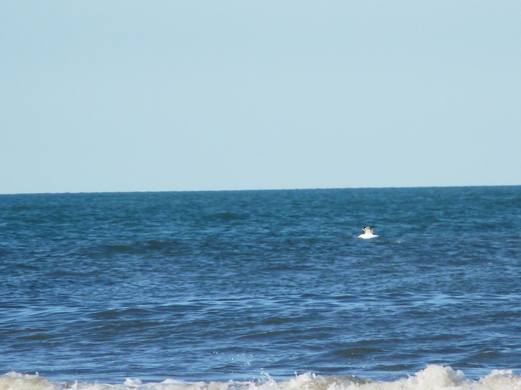 Foto: Balneario - Santa Clara del Mar (Buenos Aires), Argentina