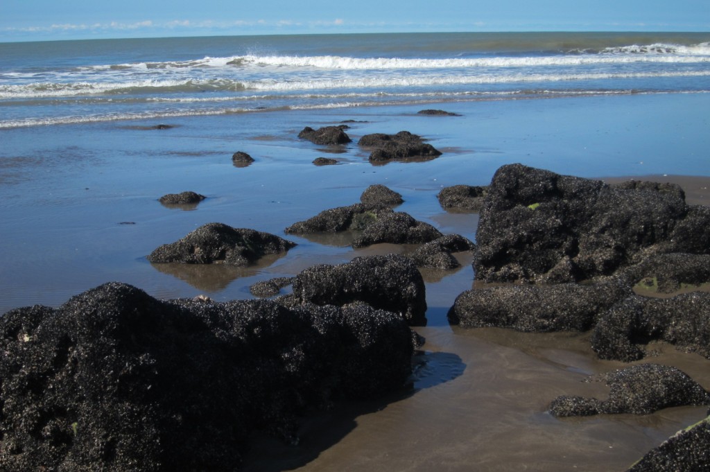 Foto: Balneario - Mar Chiquita (Buenos Aires), Argentina