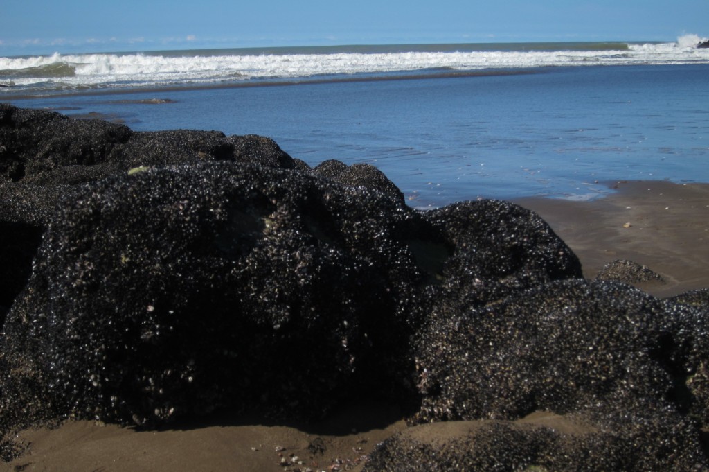 Foto: Balneario - Mar Chiquita (Buenos Aires), Argentina