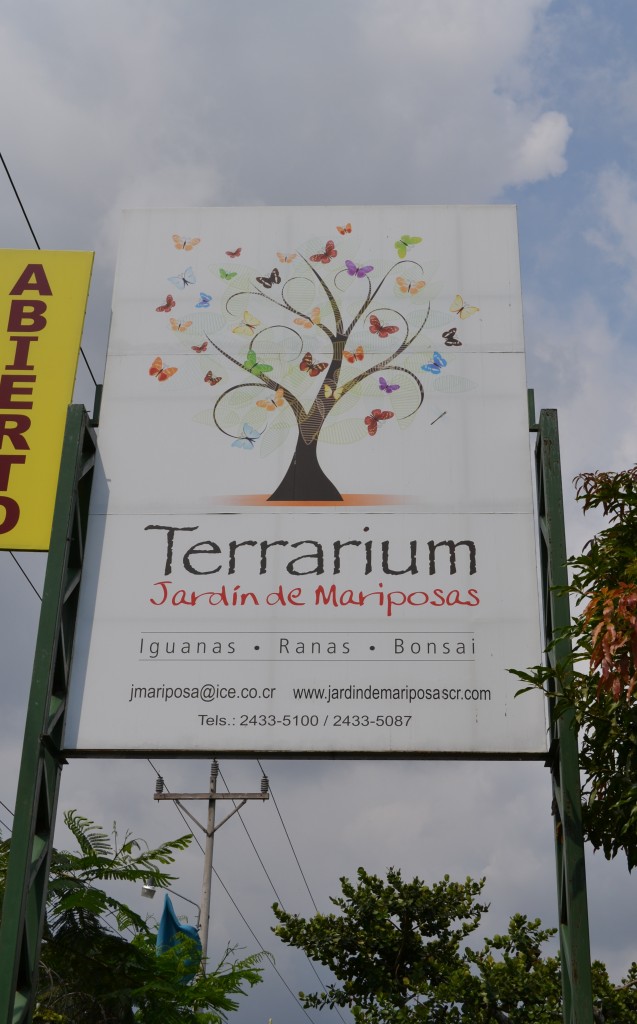 Foto: Terrariun,  Jardin De Mariposas - La Garita (Alajuela), Costa Rica