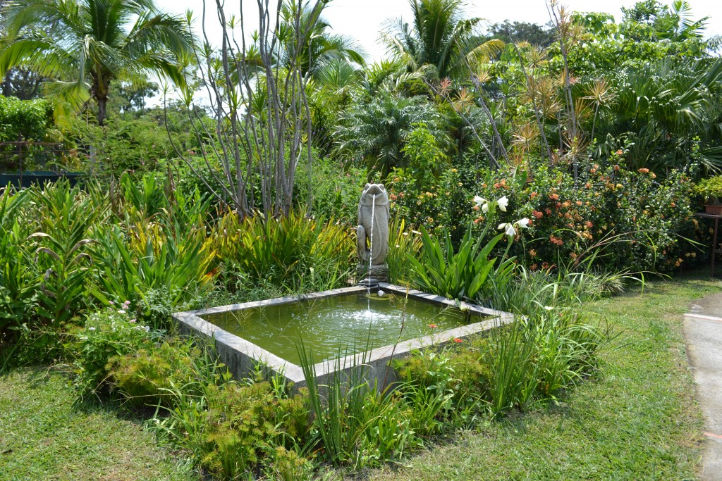 Foto: Terrariun, Jardin De Mariposas - La Garita (Alajuela), Costa Rica
