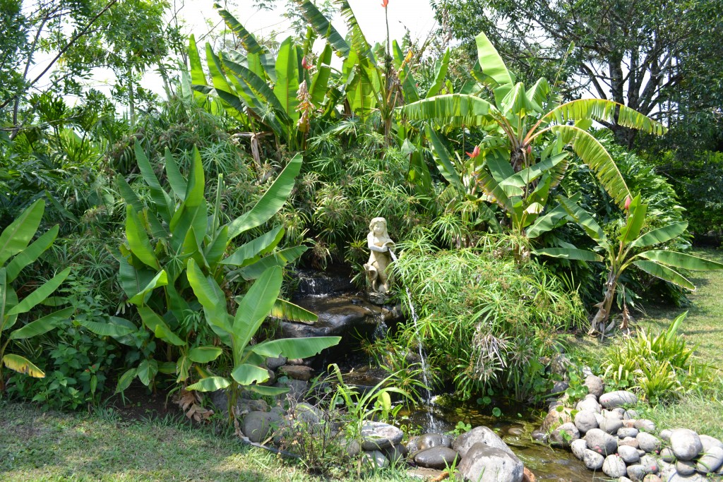 Foto: Terrariun, Jardin De Mariposas - La Garita (Alajuela), Costa Rica
