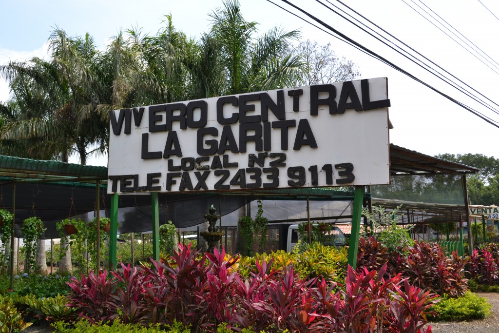 Foto: Vivero Central - La Garita (Alajuela), Costa Rica