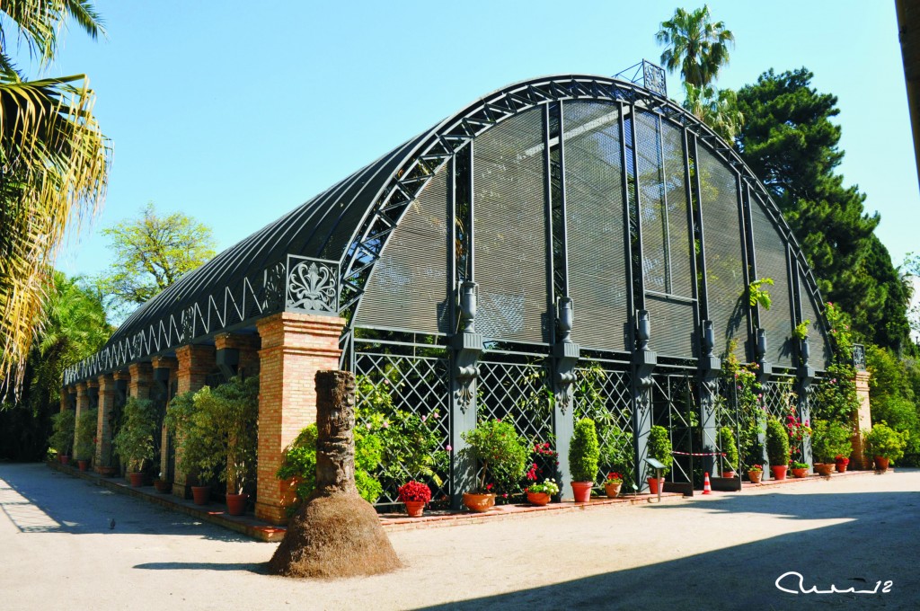 Foto: Invernadero - Valencia (València), España