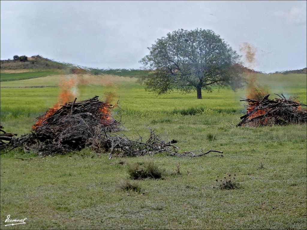 Foto: 120512-07 SAN GREGORIO - Alconchel De Ariza (Zaragoza), España