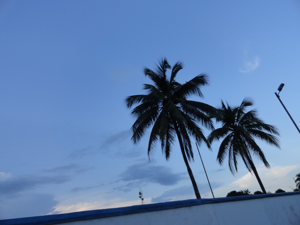 Foto: Pista - Nueva Loja (Lago Agrio) (Sucumbios), Ecuador