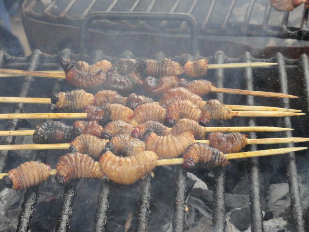 Foto: Chontacuros asados - El Coca (Orellana), Ecuador