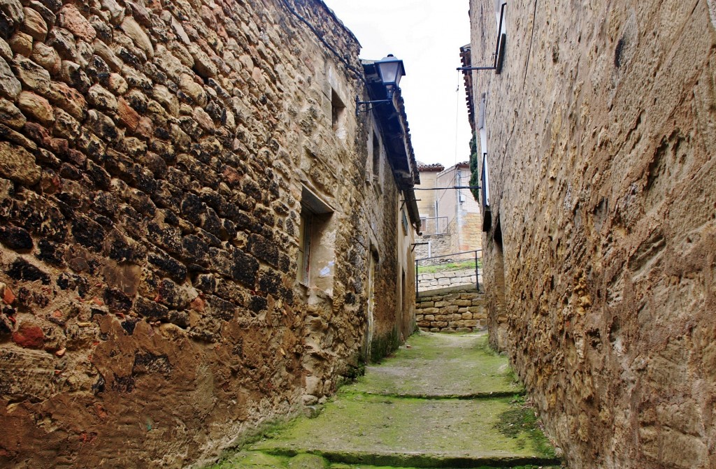 Foto: Vista del pueblo - Luesia (Zaragoza), España