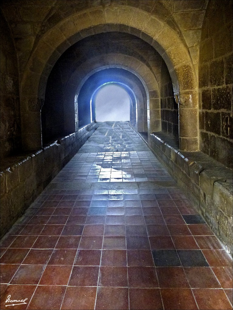 Foto: 120519-030 SOS DEL REY CATOLICO - Sos Del Rey Catolico (Zaragoza), España