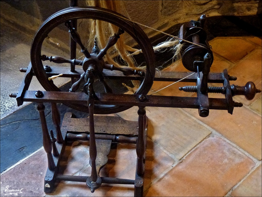 Foto: 120519-167 JAVIER - CASTILLO - Javier (Navarra), España