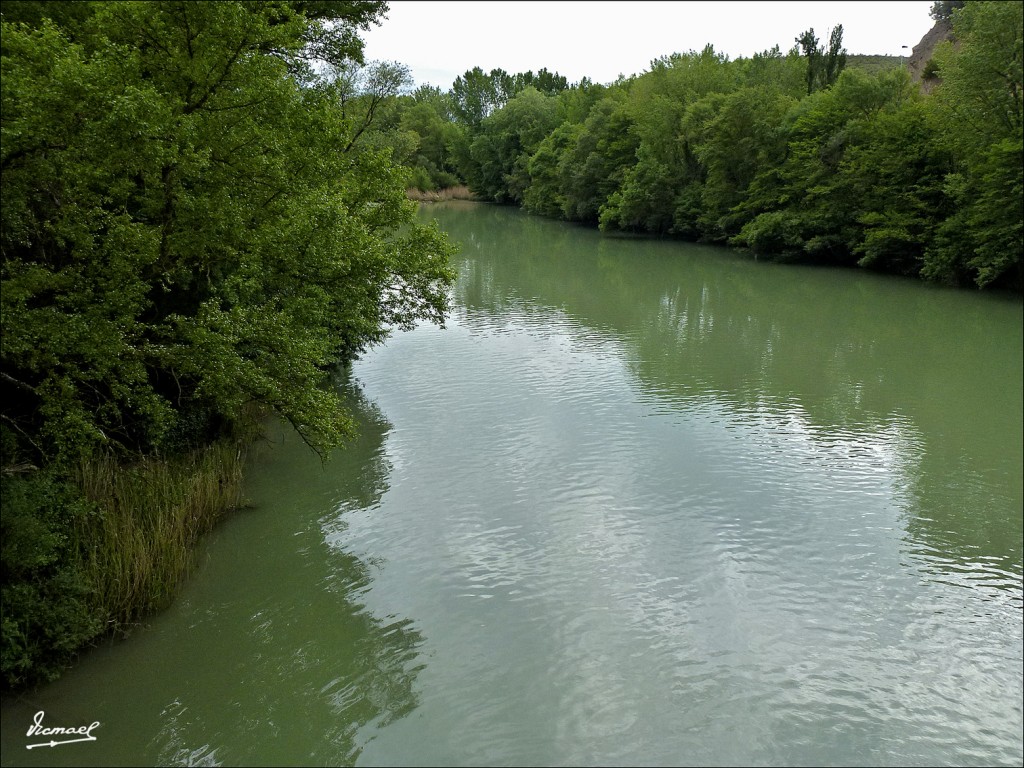 Foto: 120519-206 SANGÜESA - Sangüesa (Navarra), España