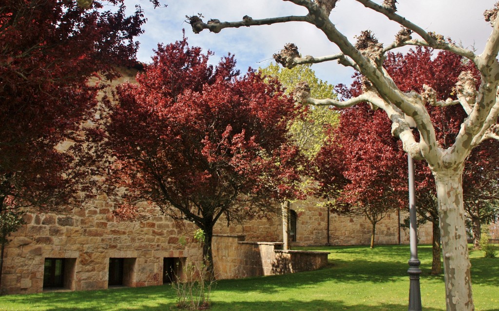 Foto: Monasterio de Leyre - Yesa (Navarra), España