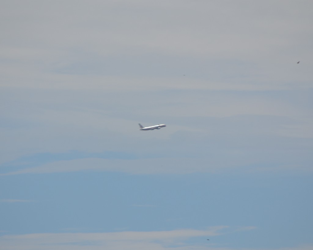 Foto: AVION - Alajuela, Costa Rica