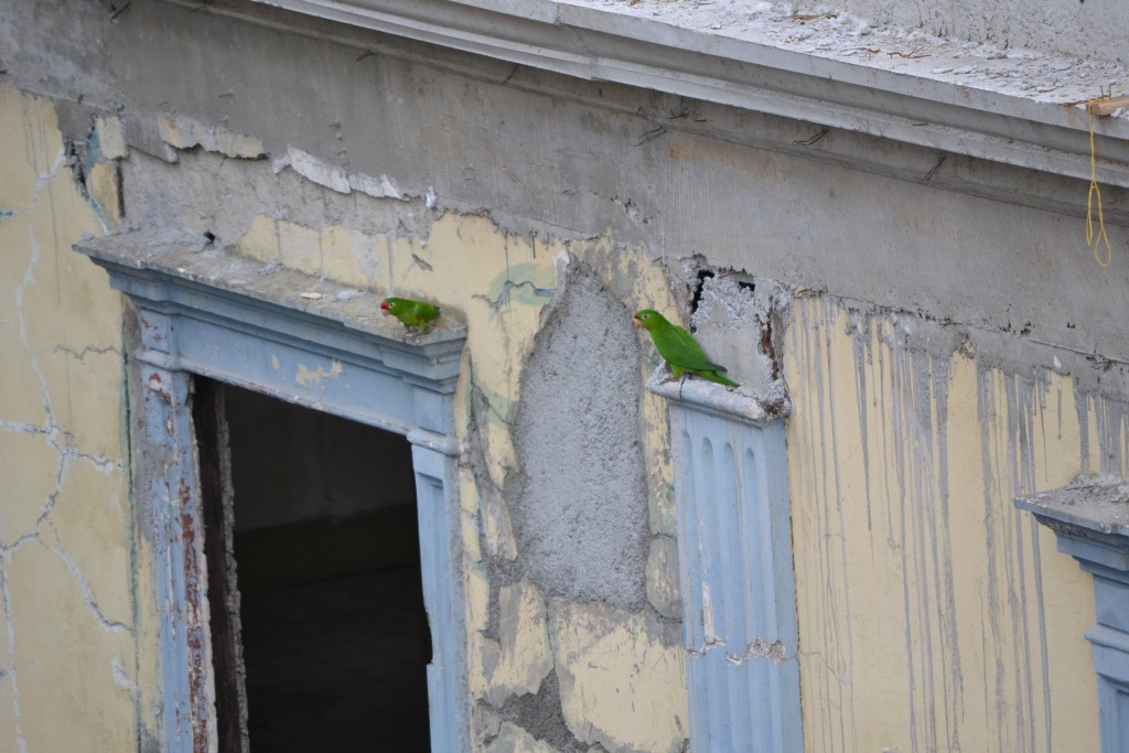 Foto de Alajuela, Costa Rica