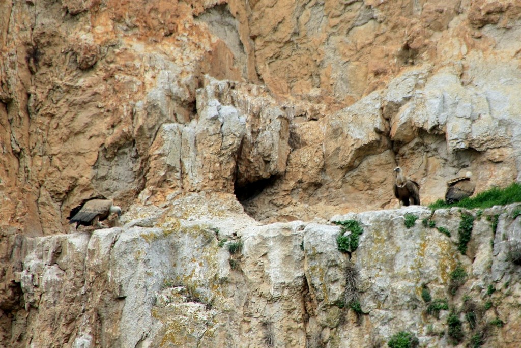 Foto: Foz de Lumbier - Lumbier (Navarra), España