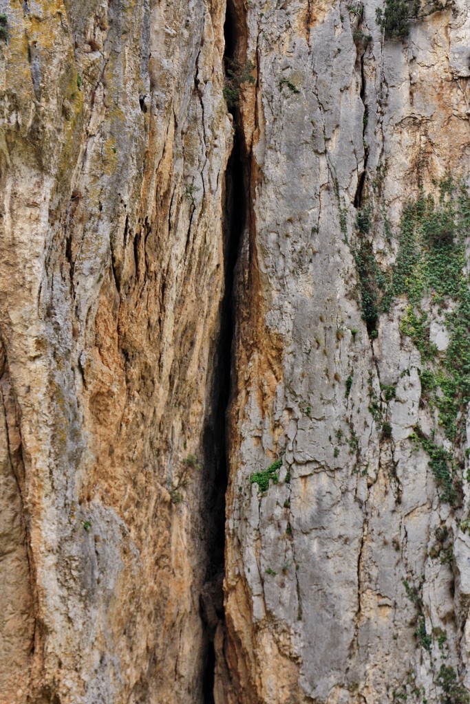 Foto: Foz de Lumbier - Lumbier (Navarra), España