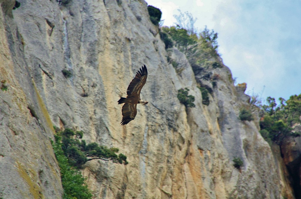 Foto: Foz de Lumbier - Lumbier (Navarra), España