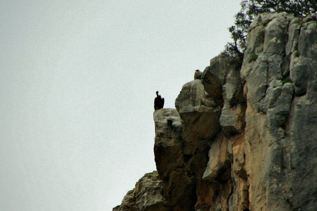 Foto: Foz de Lumbier - Lumbier (Navarra), España