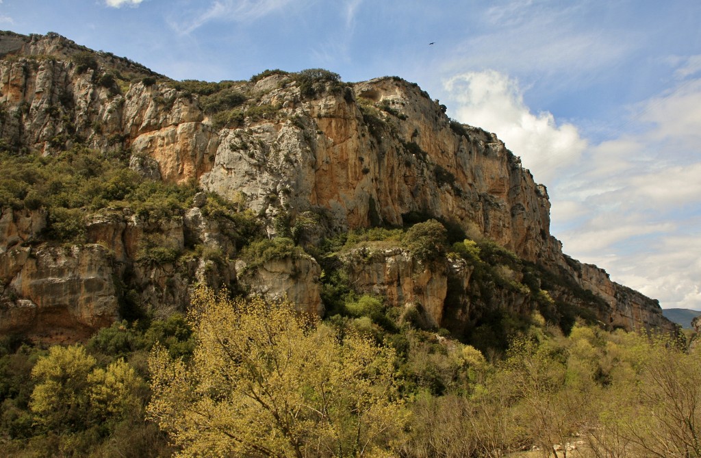 Foto: Foz de Lumbier - Lumbier (Navarra), España