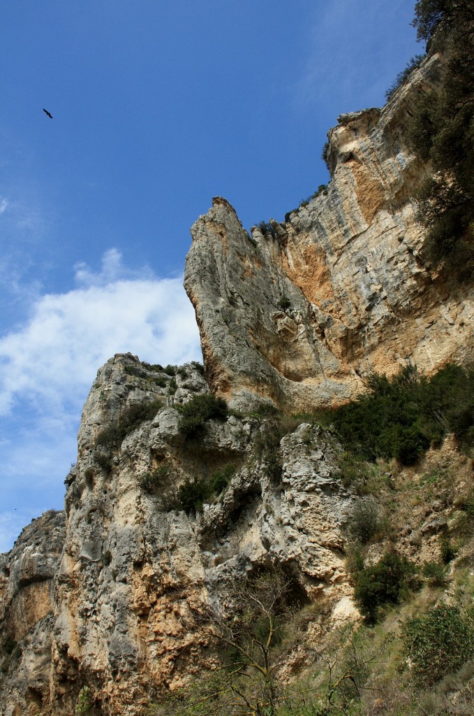Foto: Foz de Lumbier - Lumbier (Navarra), España