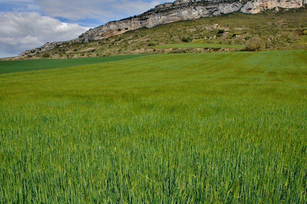 Foto: Foz de Lumbier - Lumbier (Navarra), España
