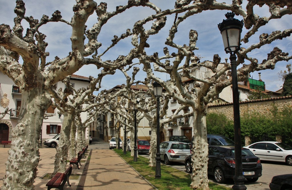 Foto: Vista de la villa - Lumbier (Navarra), España