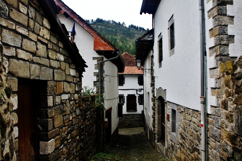 Foto: Vista del pueblo - Ochagavía (Navarra), España