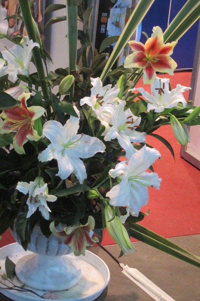 Foto: Buenos Aires en Flor: 2da. Exposición - Ciudad de Buenos Aires (Buenos Aires), Argentina