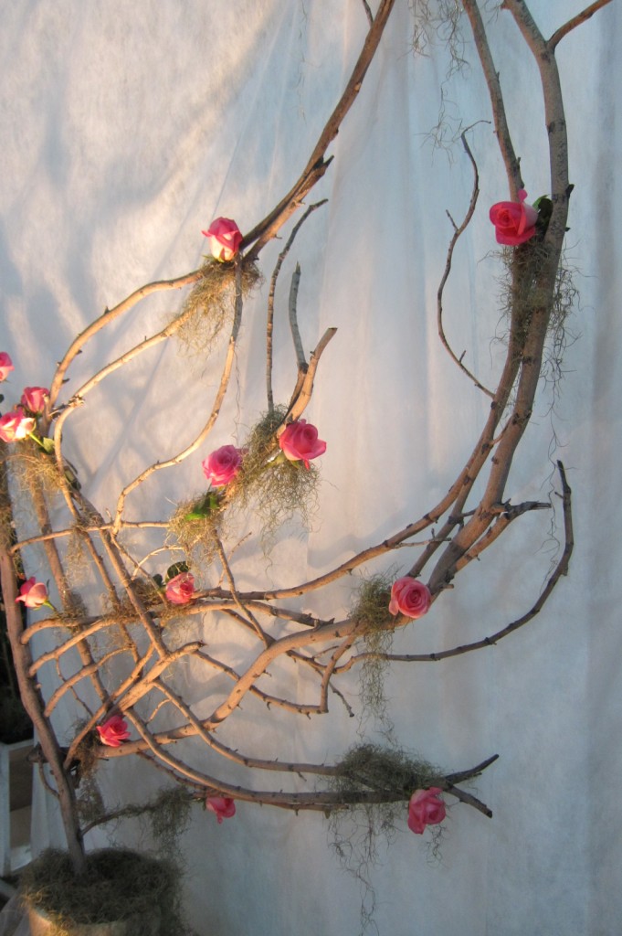 Foto: Buenos Aires en Flor: 2da. Exposición - Ciudad de Buenos Aires (Buenos Aires), Argentina