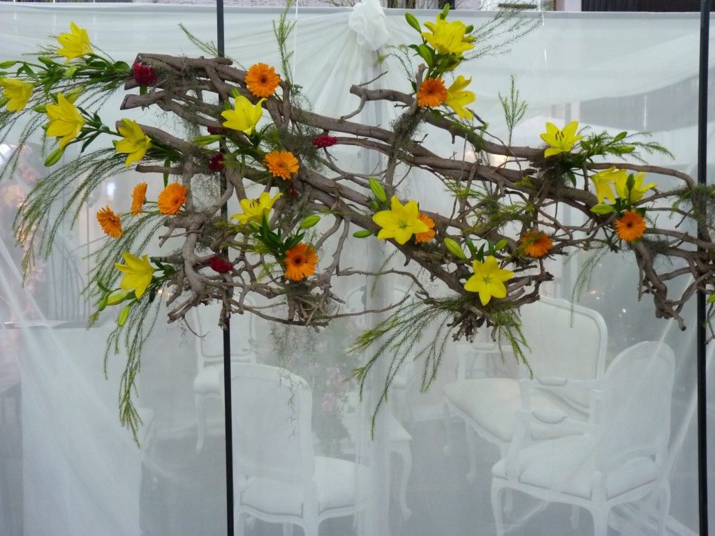 Foto: Exposición floral - Caba (Buenos Aires), Argentina