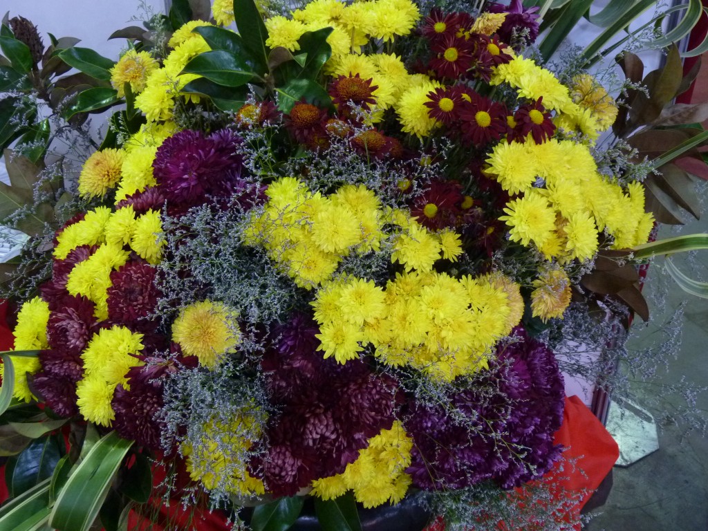 Foto: Exposición floral - Ciudad de Buenos Aires (Buenos Aires), Argentina