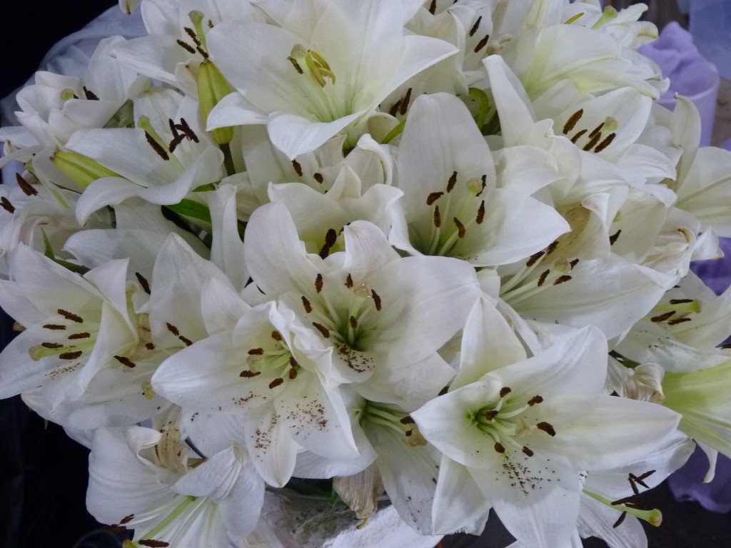 Foto: Exposición floral - Ciudad de Buenos Aires (Buenos Aires), Argentina