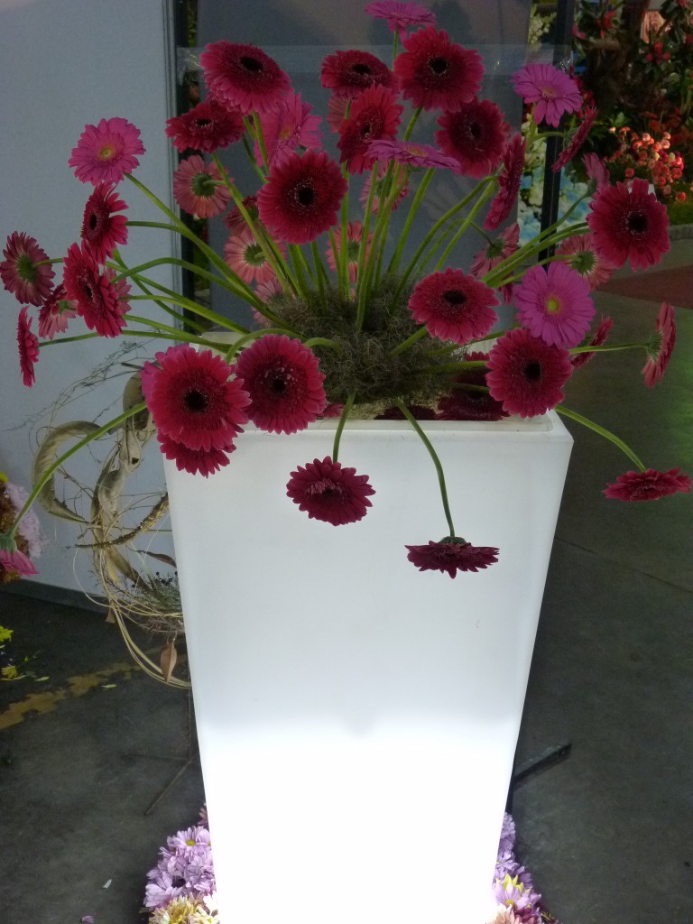 Foto: Exposición floral - Ciudad de Buenos Aires (Buenos Aires), Argentina