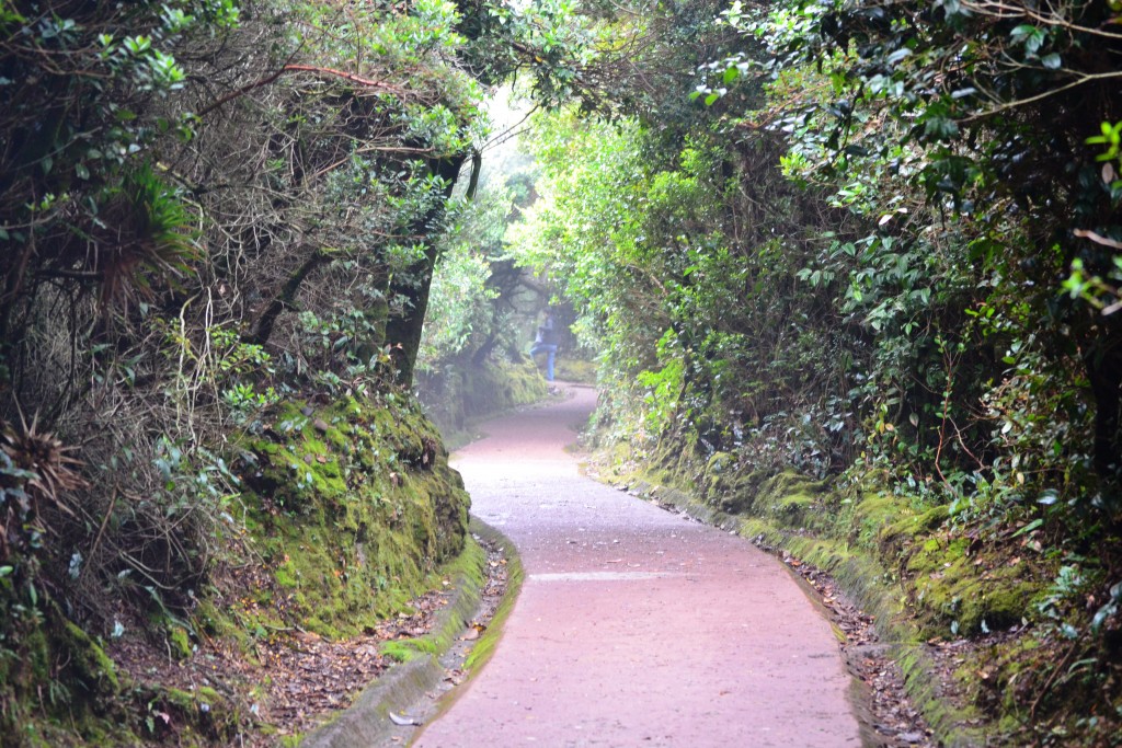 Foto: Sendero - Volcán Poás (Alajuela), Costa Rica