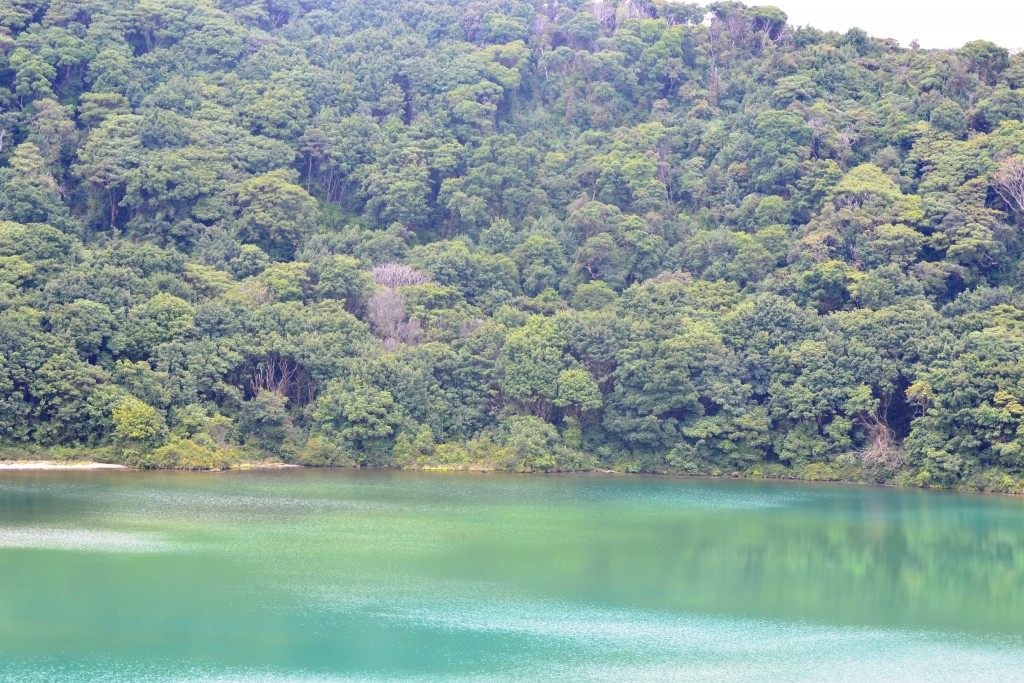 Foto: Volcán - Volcán Poás (Alajuela), Costa Rica