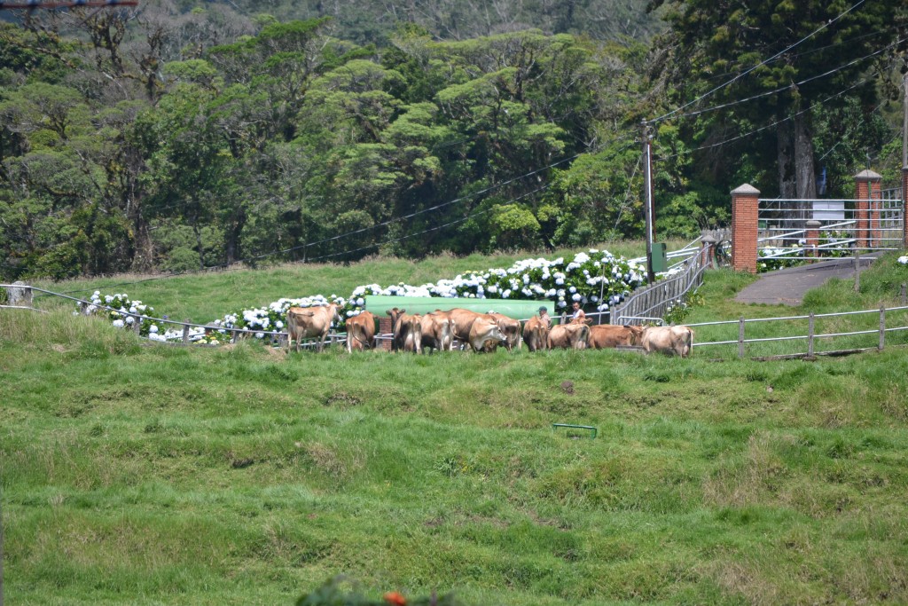 Foto: Poás - Volán Póas (Alajuela), Costa Rica