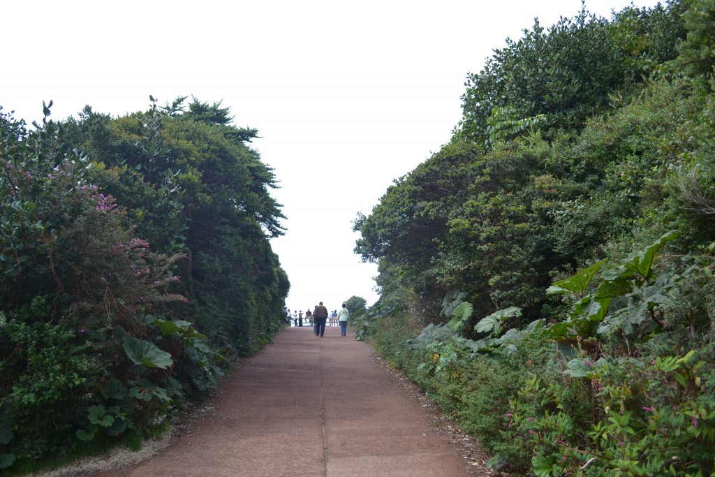 Foto: Volán Póas - Volán Póas (Alajuela), Costa Rica