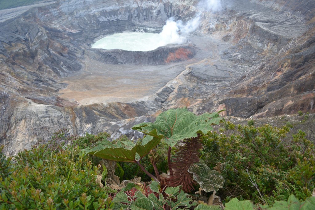 Foto: Crater Volán Póas - Volán Póas (Alajuela), Costa Rica