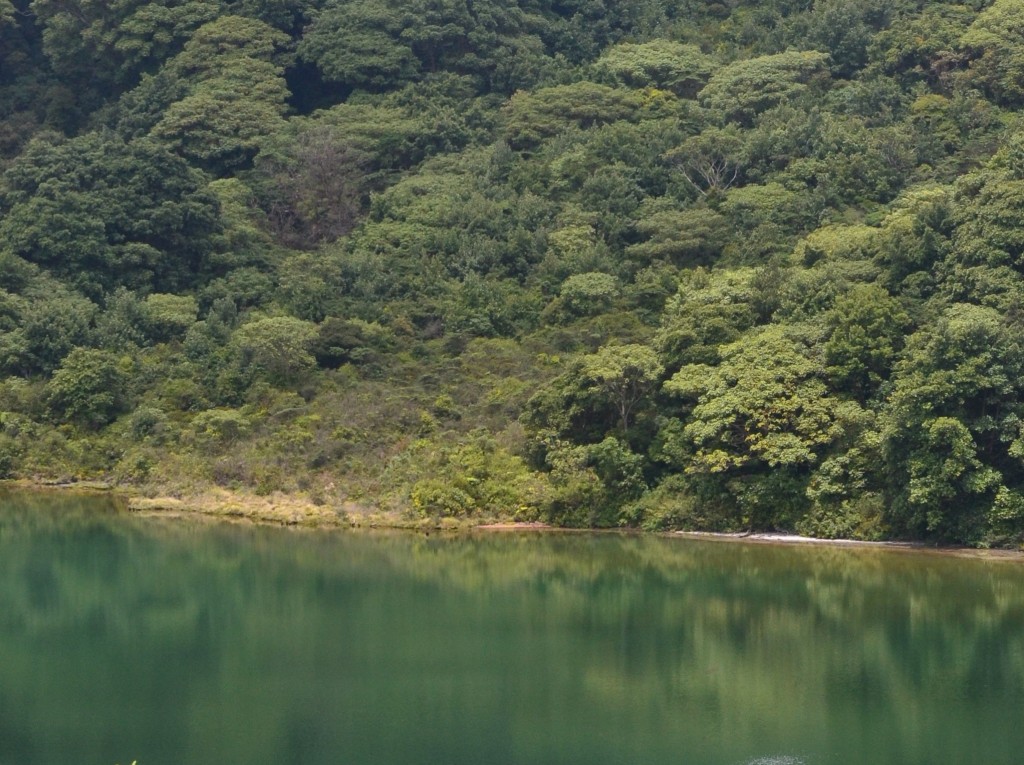 Foto: Laguna Volcan Poas - Volcán Poás (Alajuela), Costa Rica