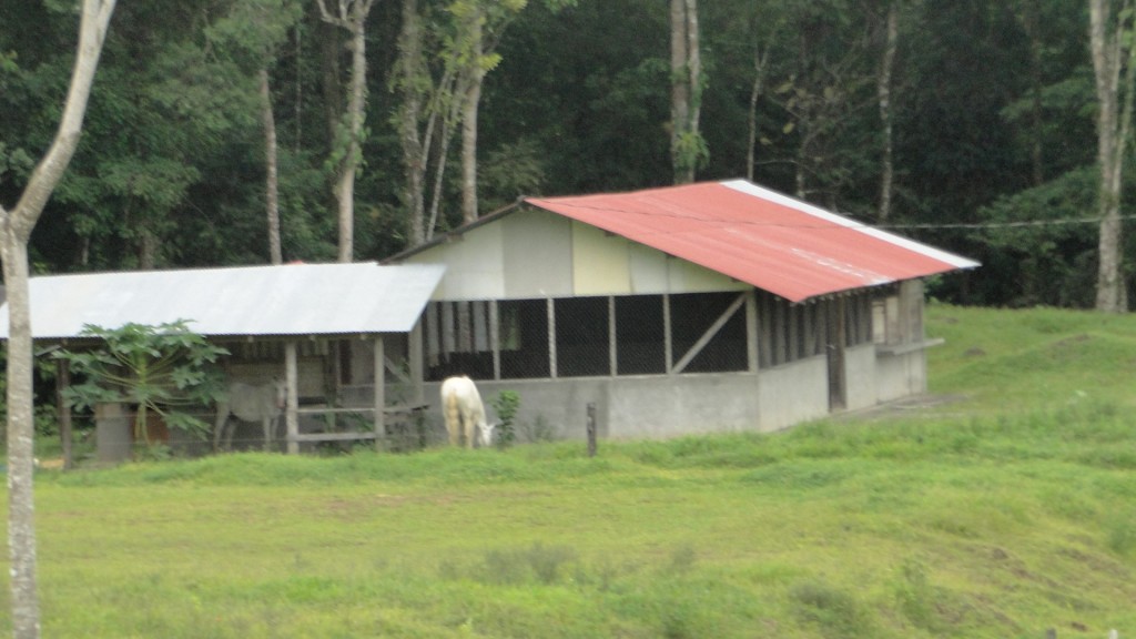 Foto de Upala (Alajuela), Costa Rica