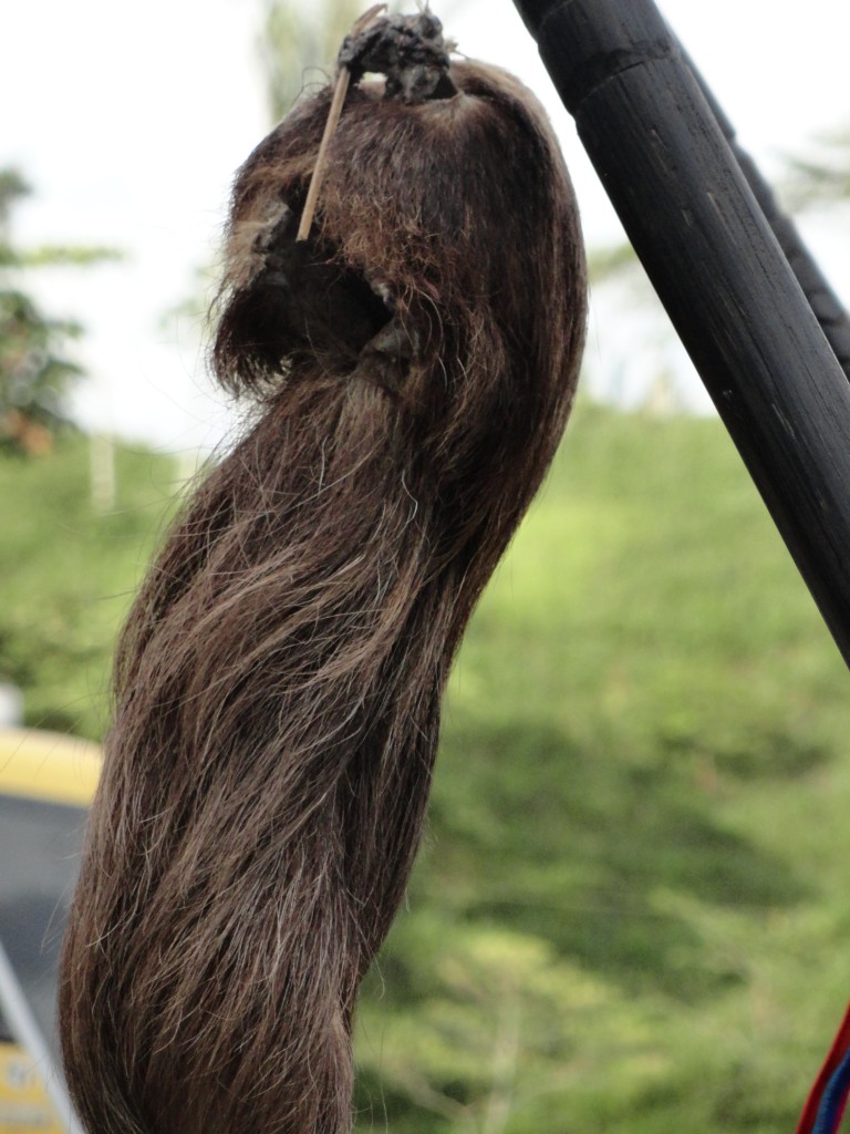 Foto: Nanki Shuar - Simón Bolívar (Mushullacta) (Pastaza), Ecuador