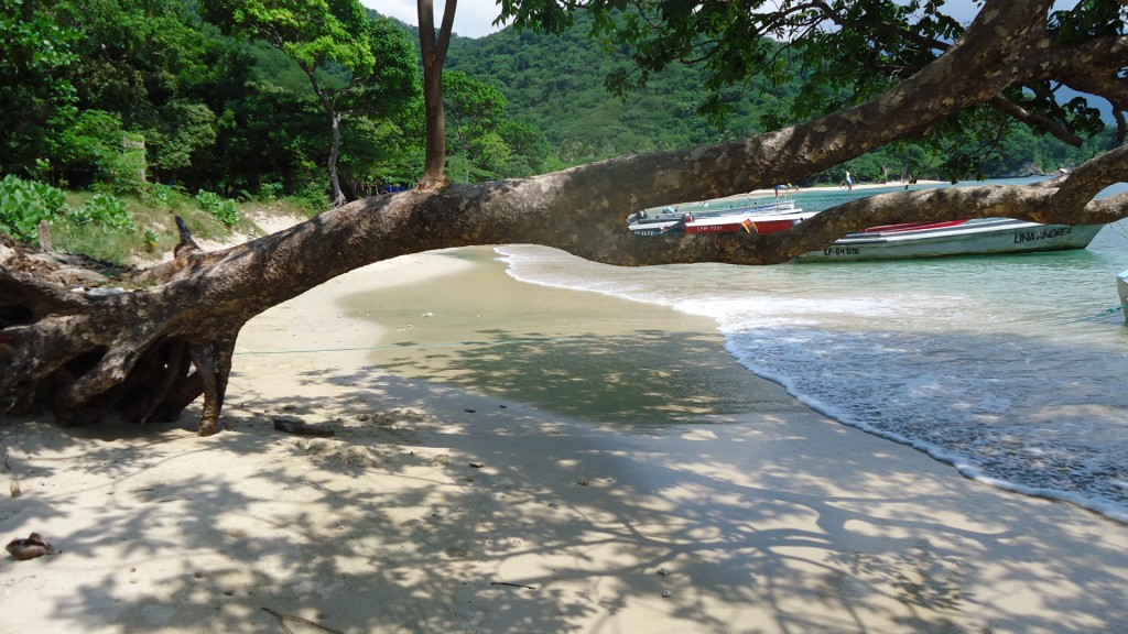 Foto: Playa blanca - Tairona (Magdalena), Colombia