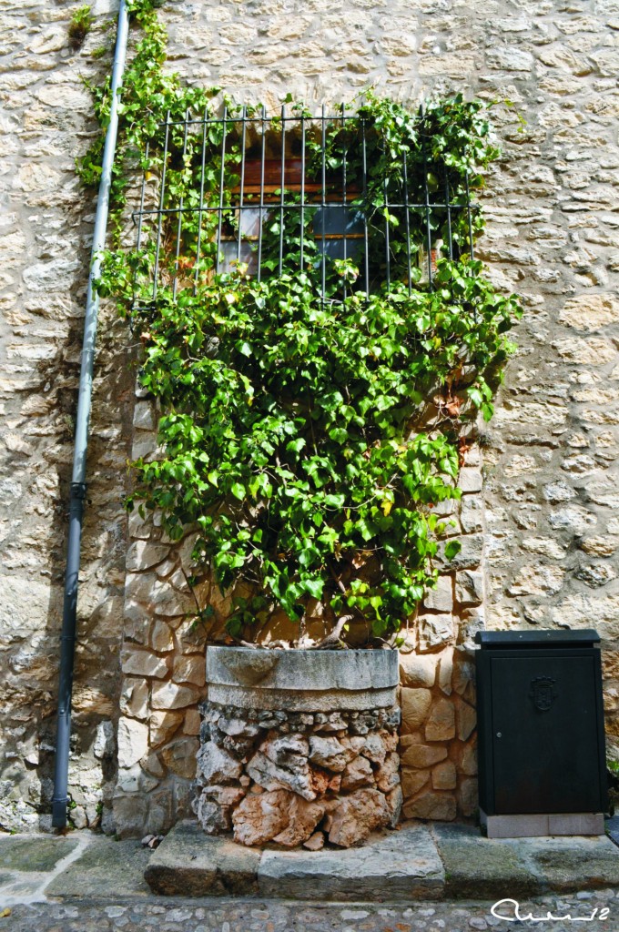 Foto: Reja verde - Bocairent (València), España