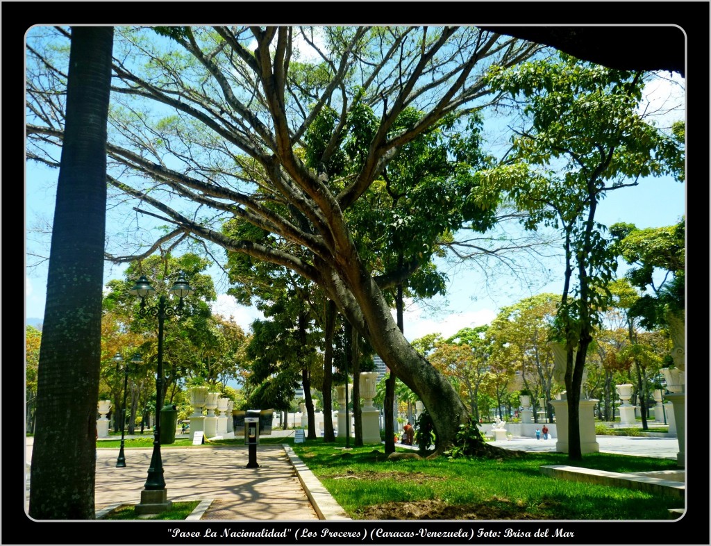 Foto: Paseo La Nacionalidad (Los Próceres) - Caracas (Los Próceres) (Distrito Capital), Venezuela