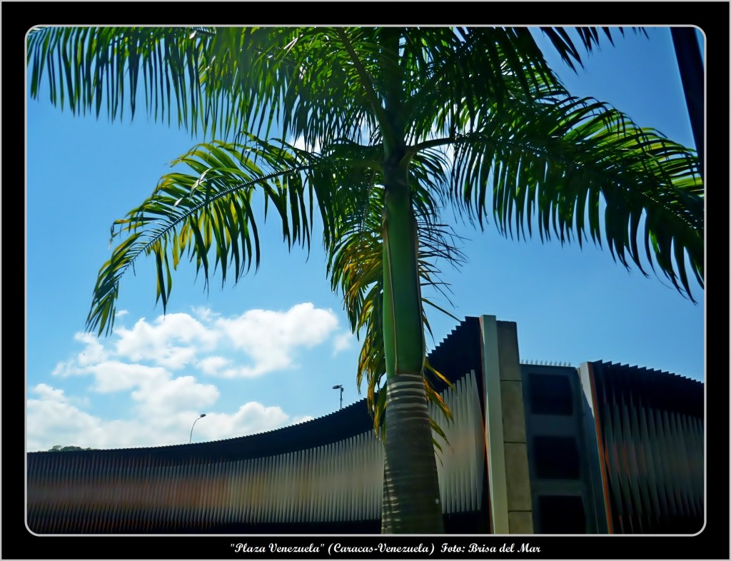 Foto: Plaza Venezuela "Doble Fisicromia" - Caracas (Distrito Capital), Venezuela